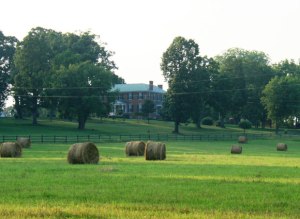 01 Cole Hill Farm