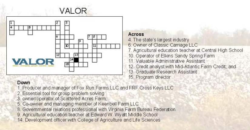 VALOR puzzle