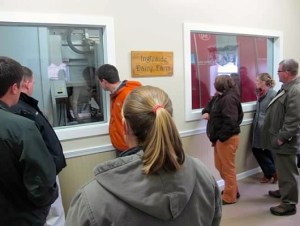 Class members watch the robots complete the milking process