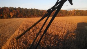 IMG_20141114_162543_462