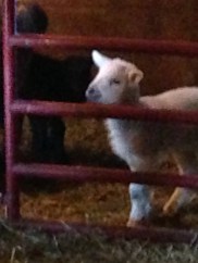 Photo Jan 10, 8 50 21 AM