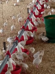 Photo Jan 11, 3 43 46 PM