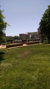 IMG_20150514_124301130