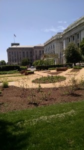 IMG_20150514_124324886