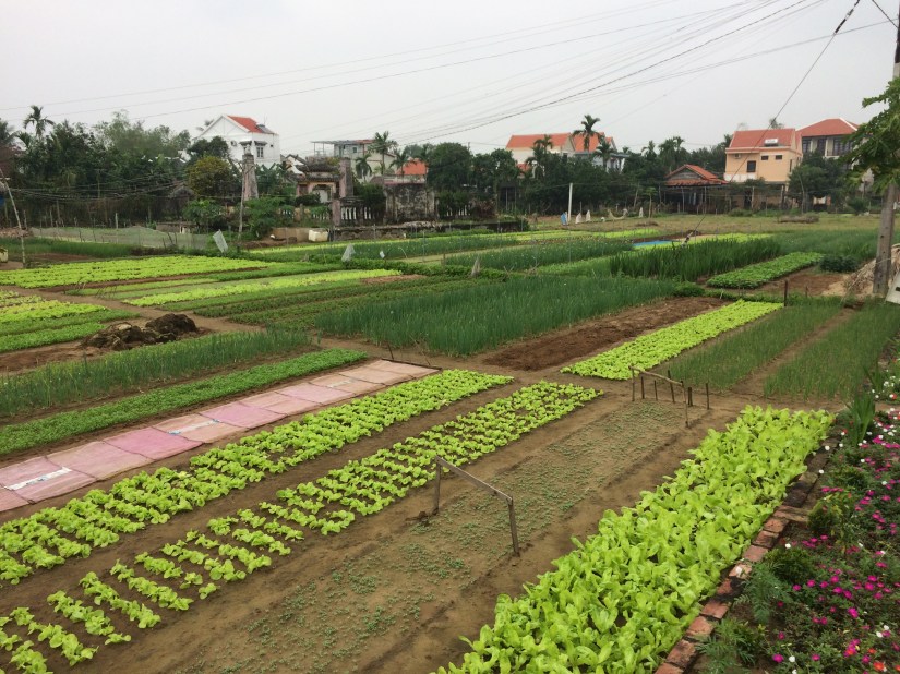 2016-01-12 08.36.43.jpg