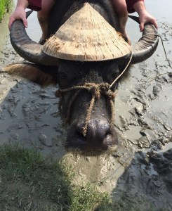 Photo Credit: Joe Wilkerson