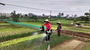 IMG_20160112_083922413_HDR