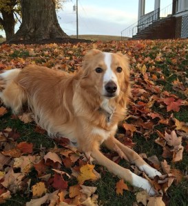 maggie