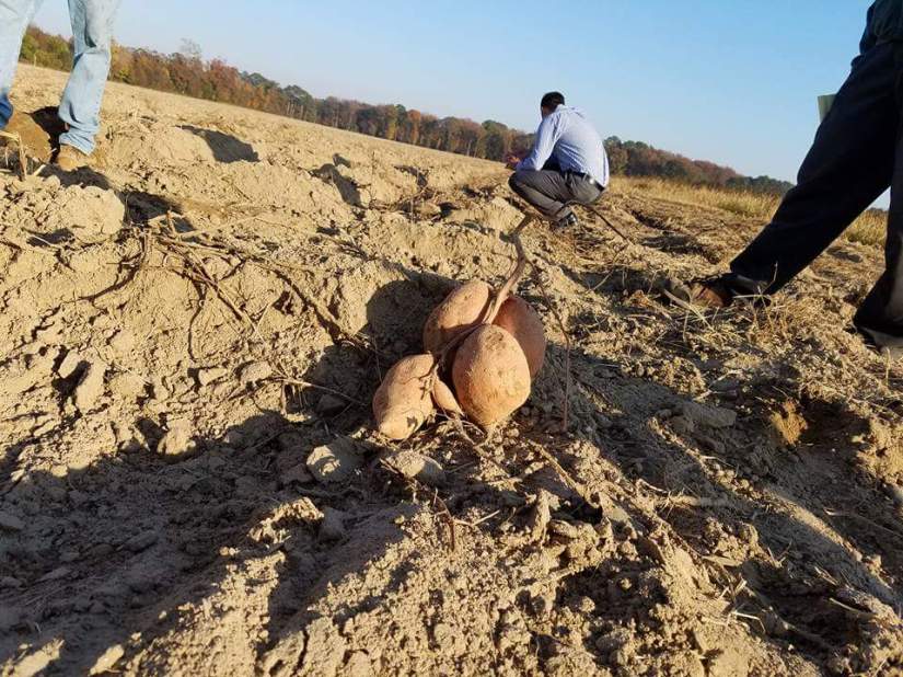 fb_img_1480946100995