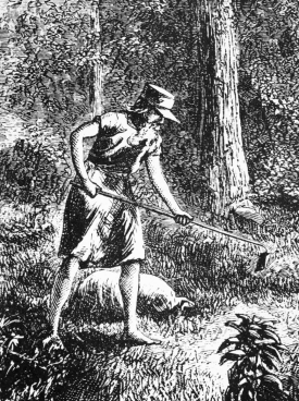 Screen Shot 2017-07-18 at 10.12.31 AM