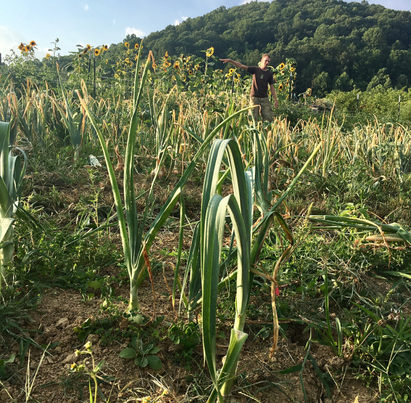 Screenshot_20170811-162759