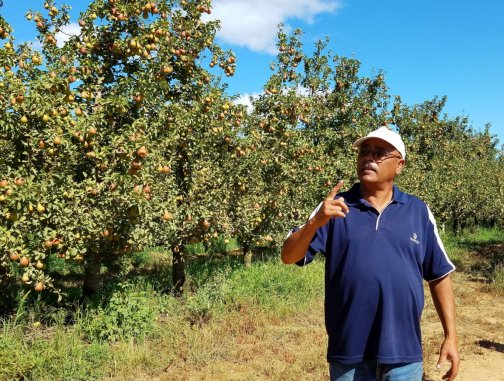 Screen Shot 2018-03-30 at 2.38.13 PM.png