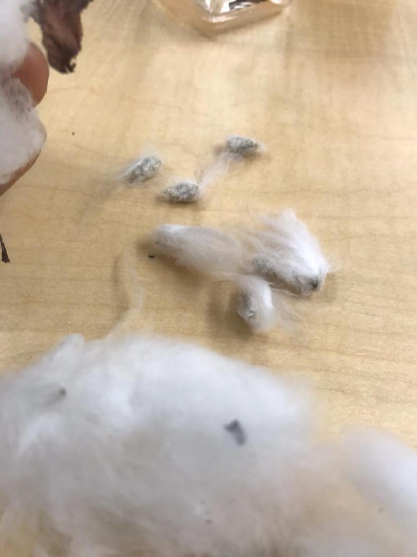 WhatsApp Image 2018-12-17 at 6.59.35 PM (1)