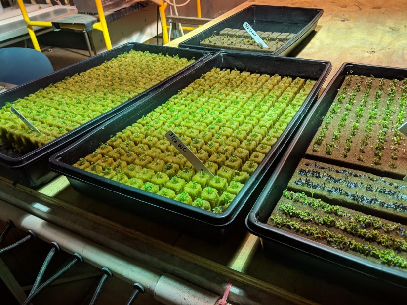 IMG_20190317_170233_edited