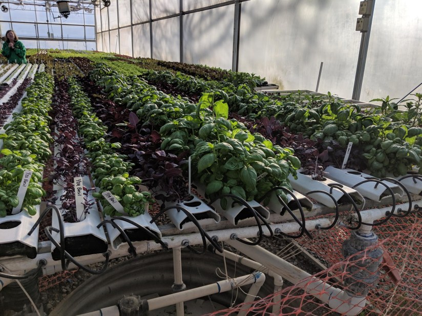 IMG_20190317_171610_edited